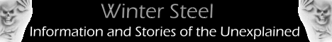 wintersteelbanner2.gif